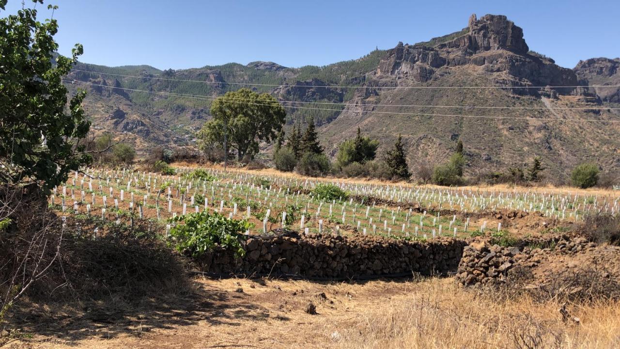 Casa-Finca El Maipez De Tejeda Las Palmas de Gran Canaria Luaran gambar