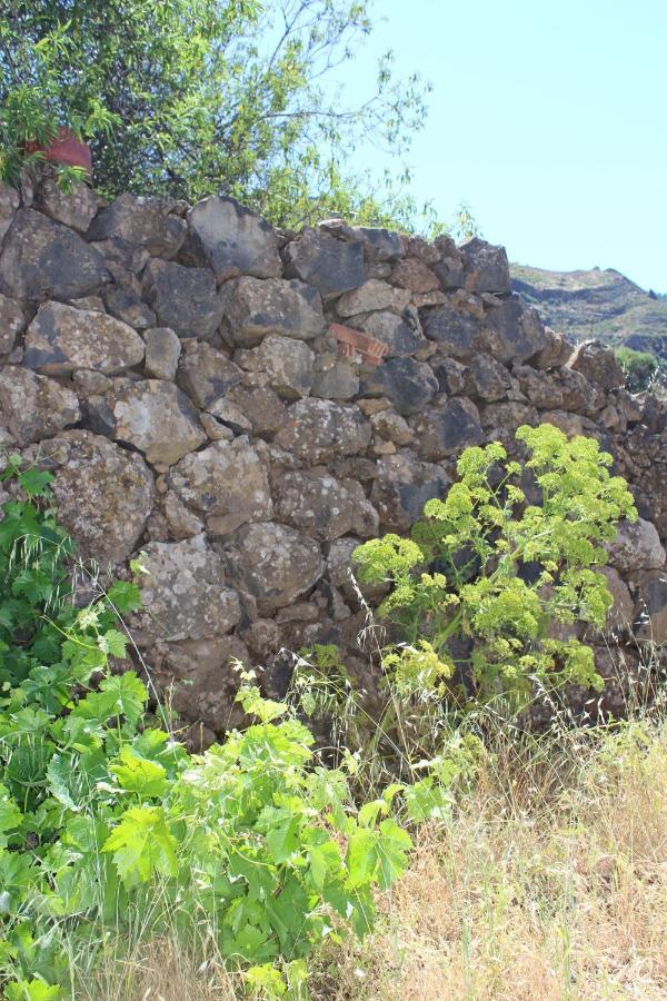 Casa-Finca El Maipez De Tejeda Las Palmas de Gran Canaria Luaran gambar