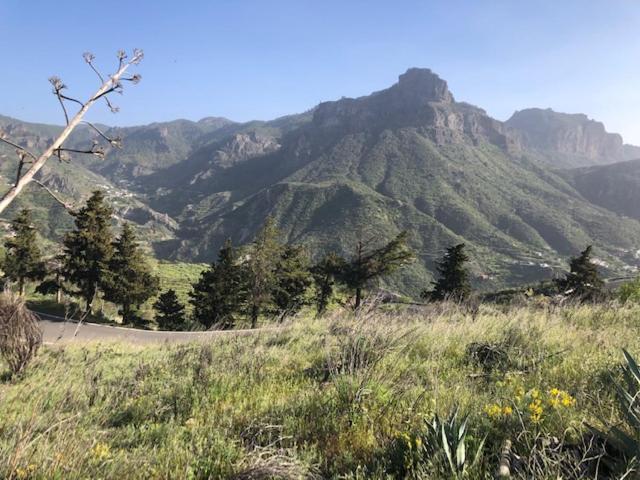 Casa-Finca El Maipez De Tejeda Las Palmas de Gran Canaria Luaran gambar