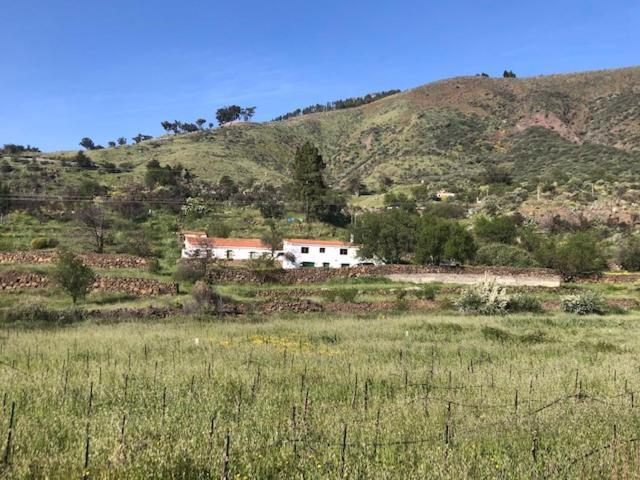 Casa-Finca El Maipez De Tejeda Las Palmas de Gran Canaria Luaran gambar