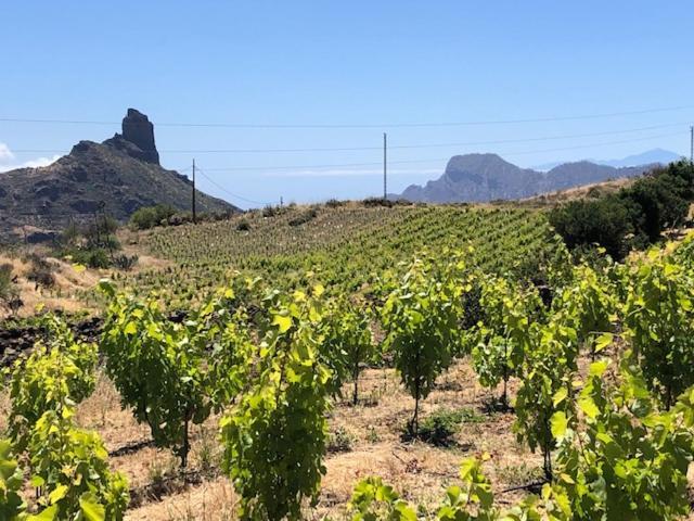 Casa-Finca El Maipez De Tejeda Las Palmas de Gran Canaria Luaran gambar
