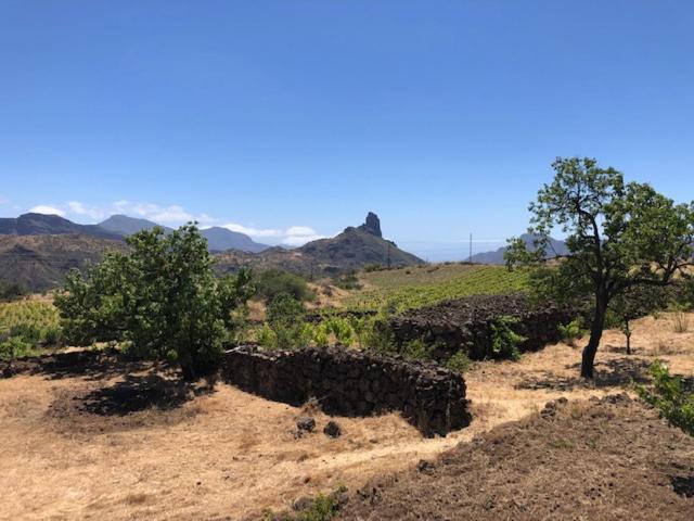 Casa-Finca El Maipez De Tejeda Las Palmas de Gran Canaria Luaran gambar