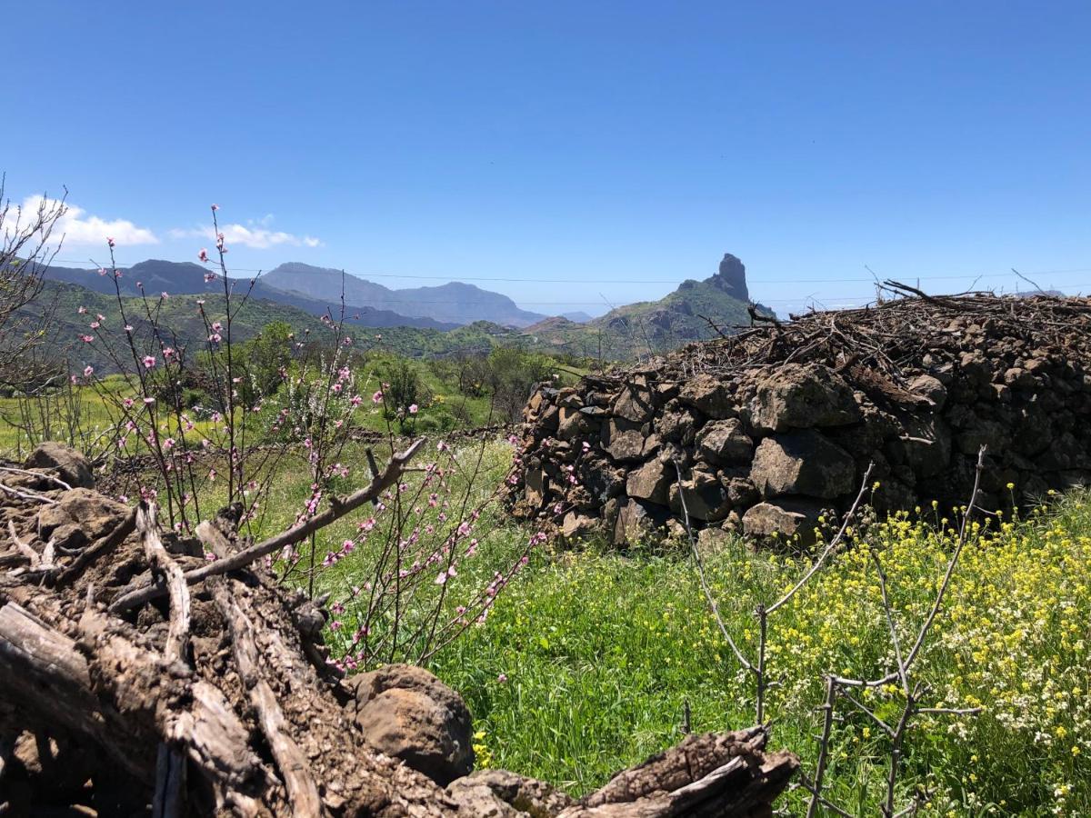 Casa-Finca El Maipez De Tejeda Las Palmas de Gran Canaria Luaran gambar