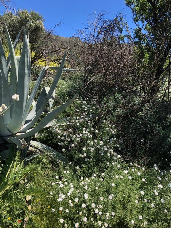 Casa-Finca El Maipez De Tejeda Las Palmas de Gran Canaria Luaran gambar