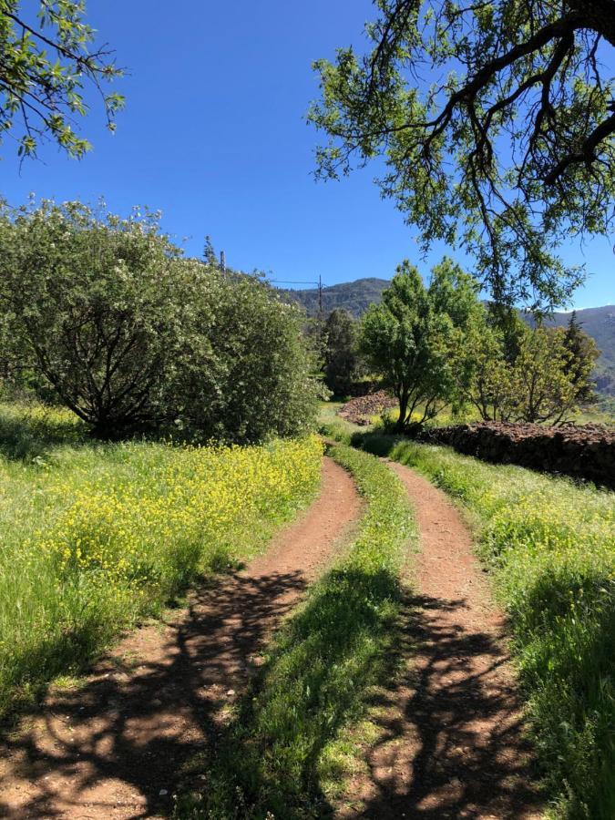 Casa-Finca El Maipez De Tejeda Las Palmas de Gran Canaria Luaran gambar
